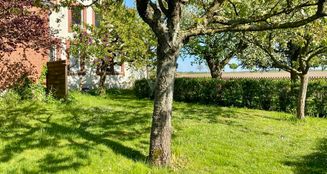 von_poll_real_estate_property_25239206_image_8
