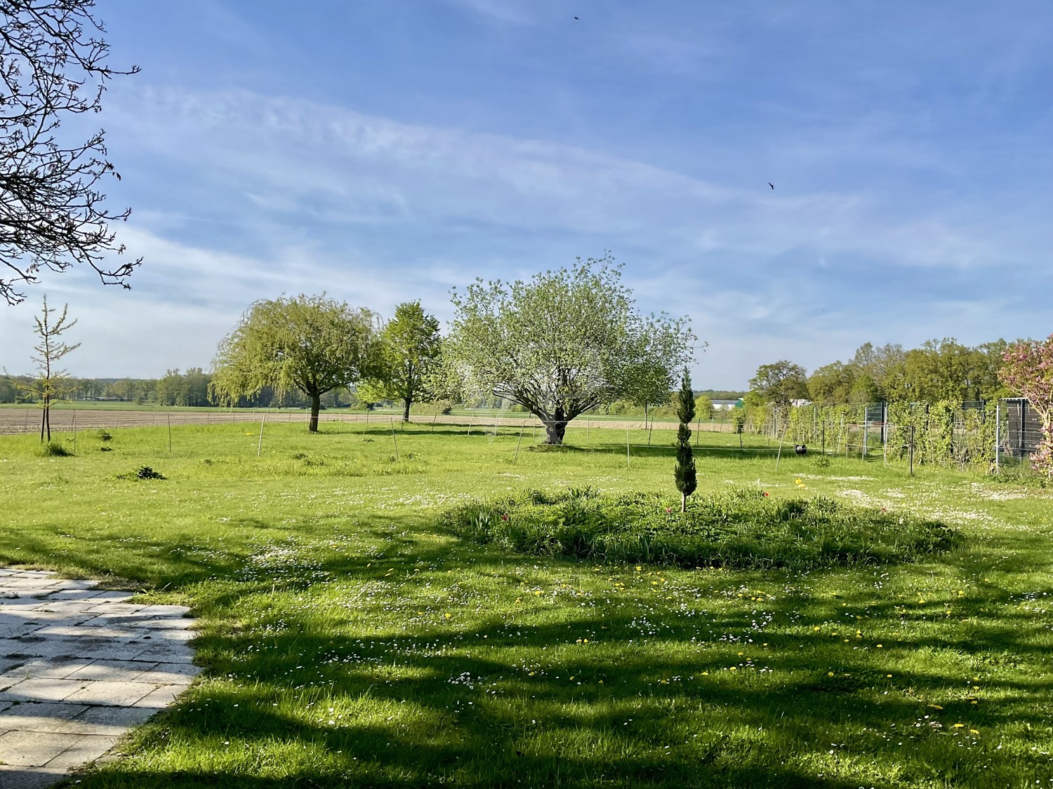 Zufahrt zur Wiese