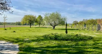 von_poll_real_estate_property_25239206_image_39