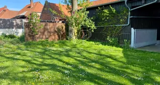 von_poll_real_estate_property_25239206_image_8