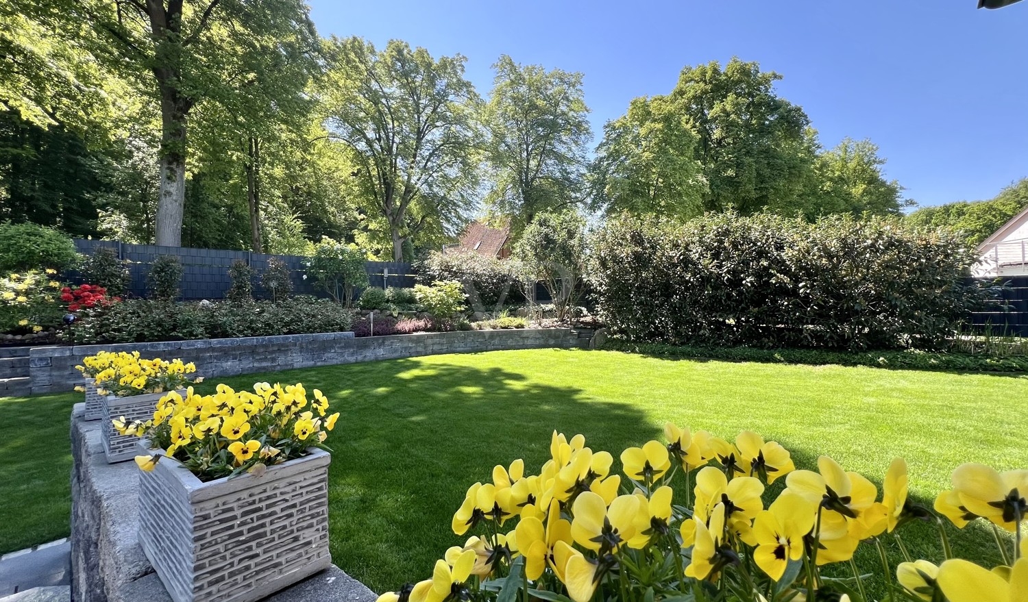 Blick in den Garten