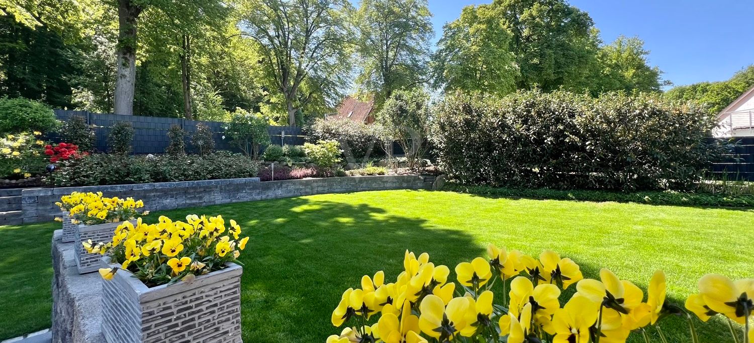 Blick in den Garten