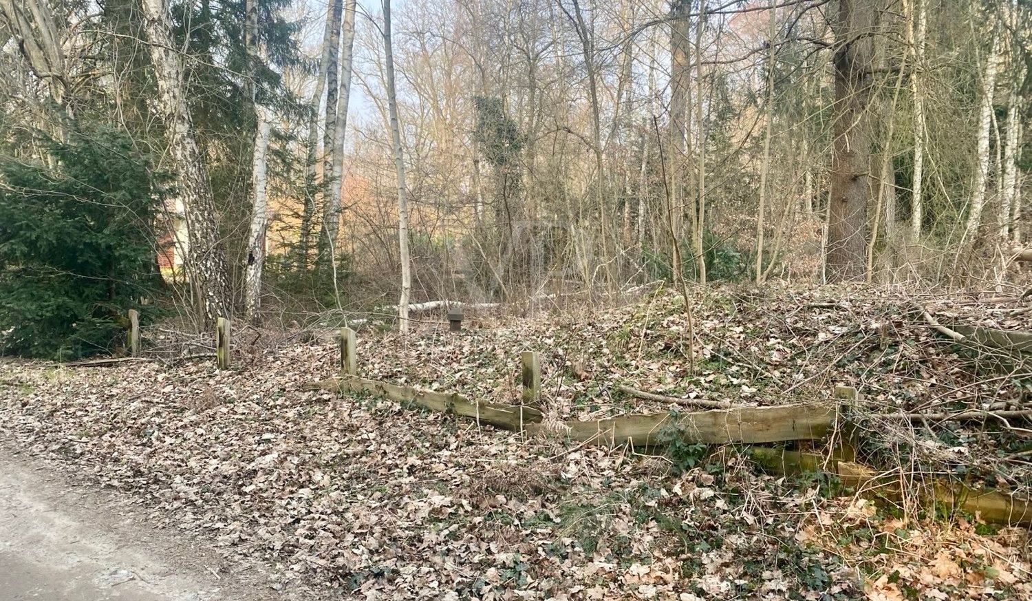 Grundstücksgrenze