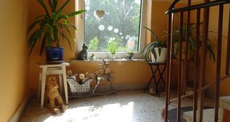 von_poll_real_estate_property_25239226_image_15