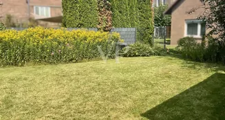 von_poll_real_estate_property_25239238_image_7