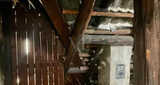 von_poll_real_estate_property_25239227_image_29