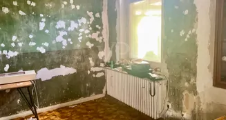 von_poll_real_estate_property_25239227_image_12