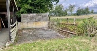 von_poll_real_estate_property_25239236_image_26