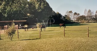 von_poll_real_estate_property_25239236_image_32