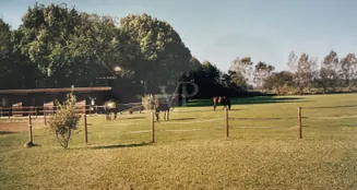 von_poll_real_estate_property_25239236_image_32