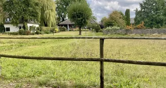 von_poll_real_estate_property_25239236_image_35