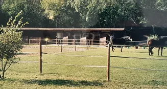 von_poll_real_estate_property_25239236_image_31