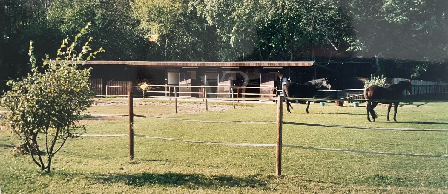 Blick auf den Stall