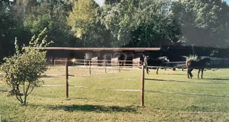 von_poll_real_estate_property_25239236_image_31