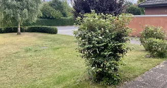 von_poll_real_estate_property_25239236_image_33