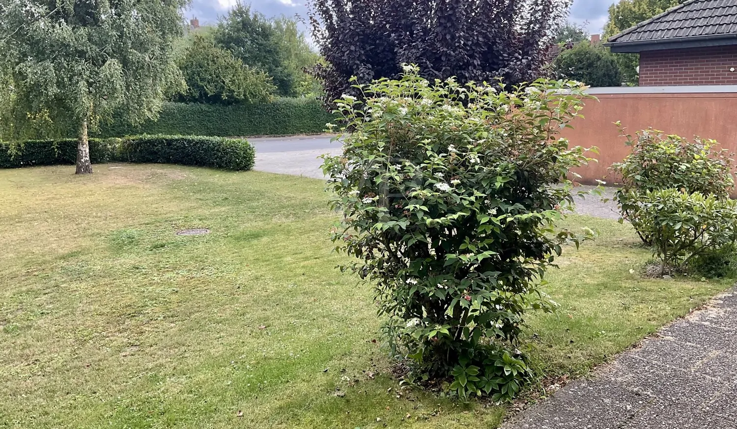 Grundstück vor dem Haus