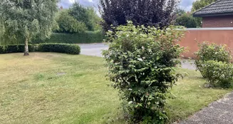 von_poll_real_estate_property_25239236_image_33