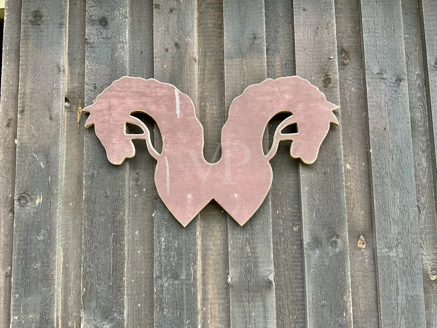 A dream for horse owners