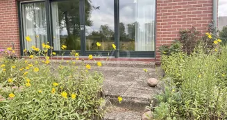 von_poll_real_estate_property_25239236_image_5