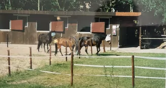 von_poll_real_estate_property_25239236_image_1