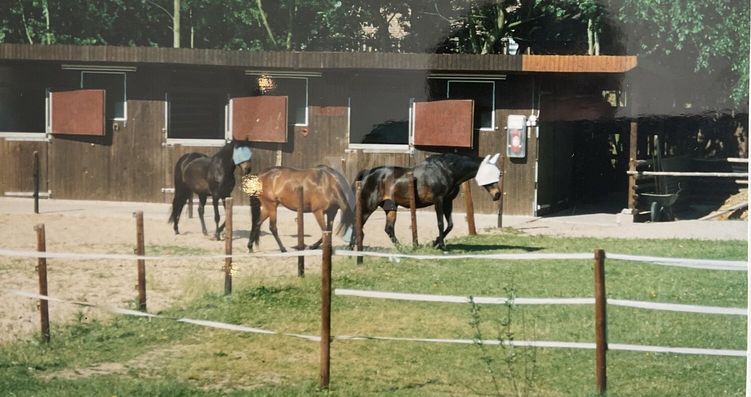 Stallanlage
