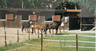 von_poll_real_estate_property_25239236_image_1