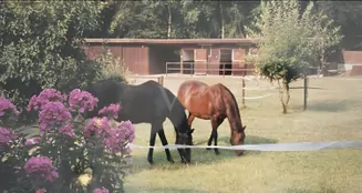 von_poll_real_estate_property_25239236_image_0