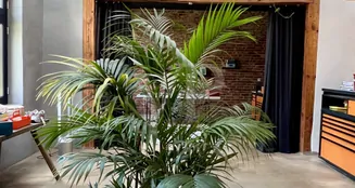 von_poll_real_estate_property_25239234_image_10