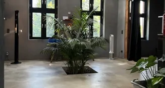 von_poll_real_estate_property_25239234_image_10