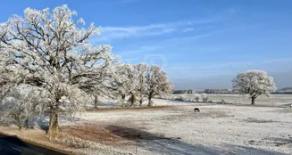 von_poll_real_estate_property_25239234_image_48