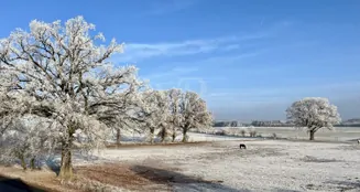 von_poll_real_estate_property_25239234_image_48