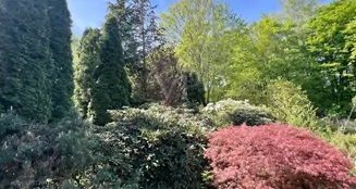 von_poll_real_estate_property_25239224_1_image_32