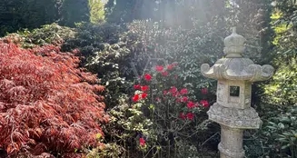 von_poll_real_estate_property_25239224_1_image_33