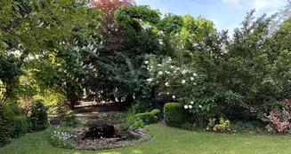 von_poll_real_estate_property_24238214_1_image_8