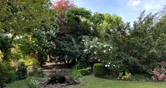 von_poll_real_estate_property_24238214_1_image_8