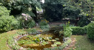 von_poll_real_estate_property_24238214_1_image_9