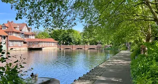 von_poll_real_estate_property_25239204_1_image_30