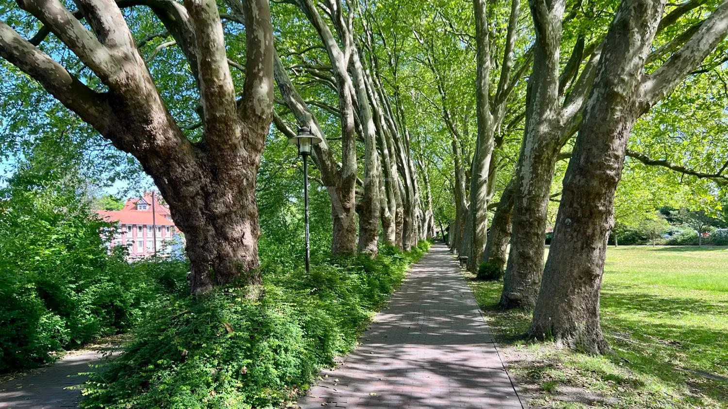 Impressionen der Umgebung