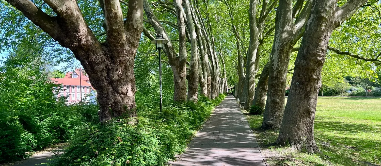 Impressionen der Umgebung