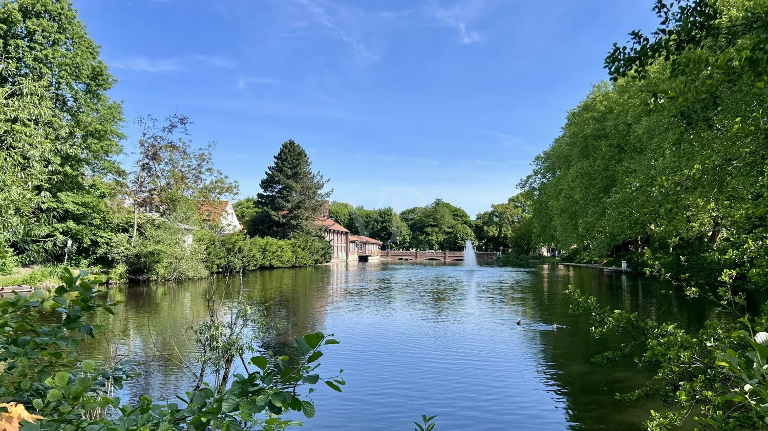 Impressionen der Umgebung