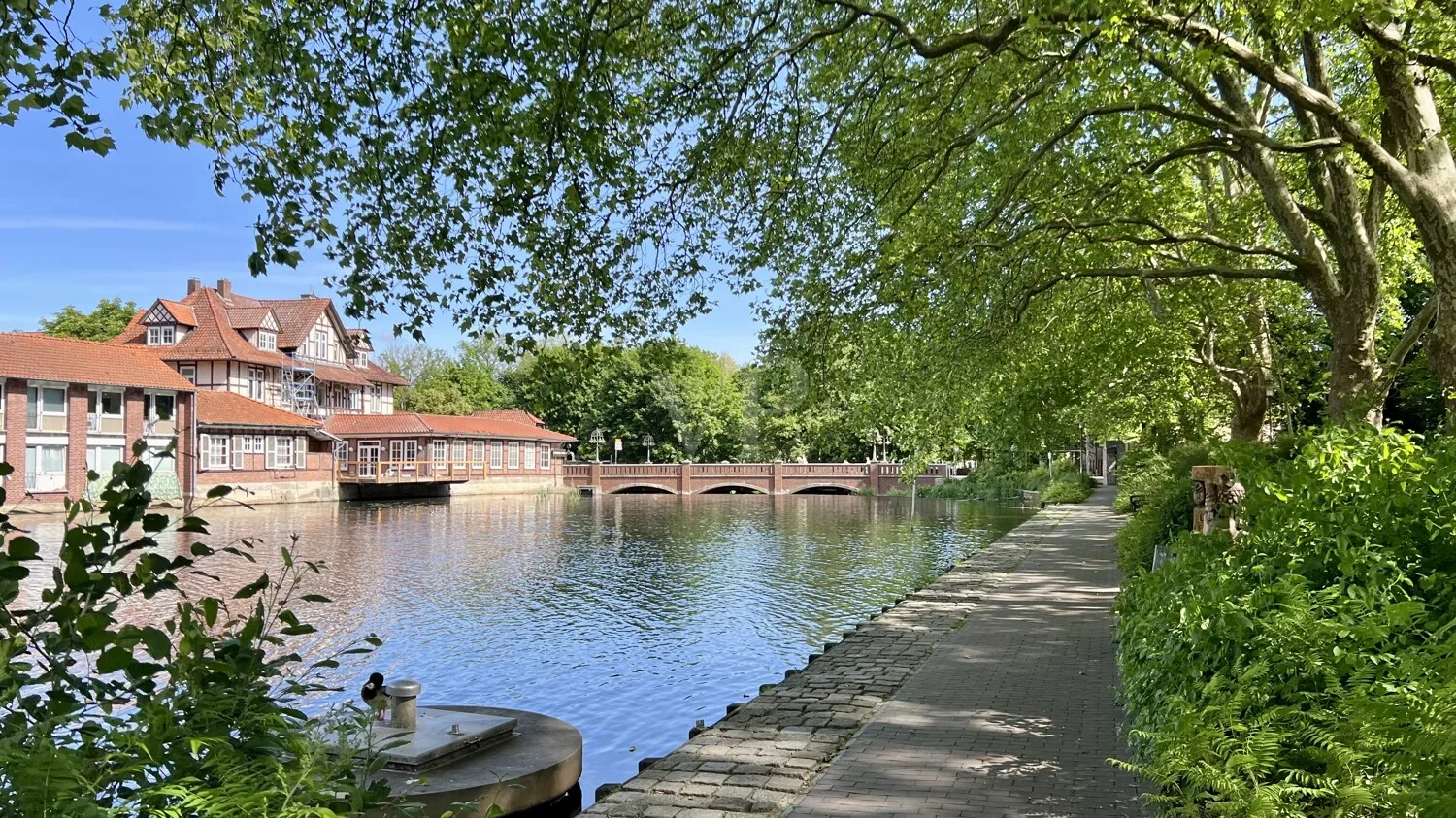 Impressionen der Umgebung