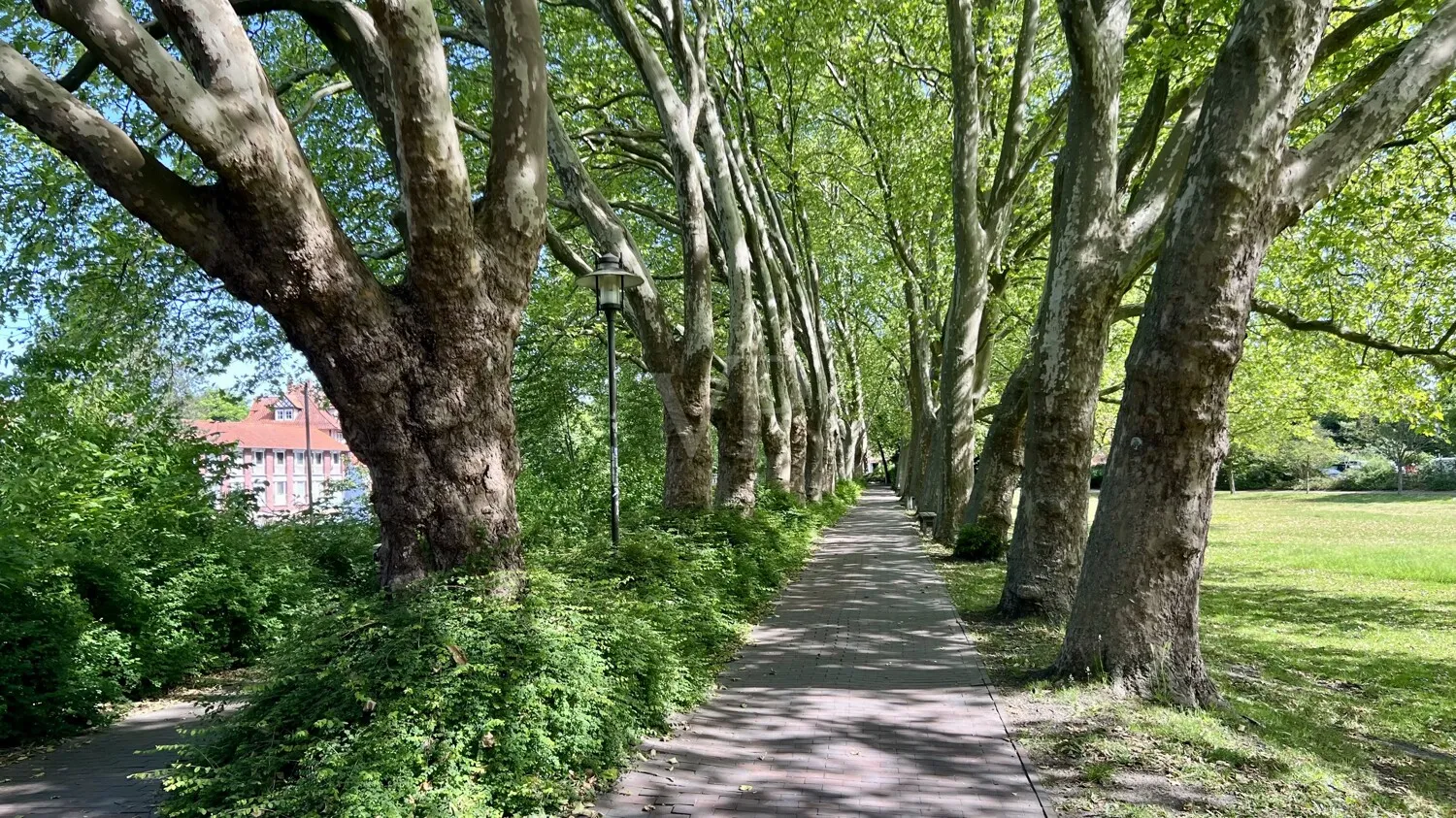 Impressionen der Umgebung