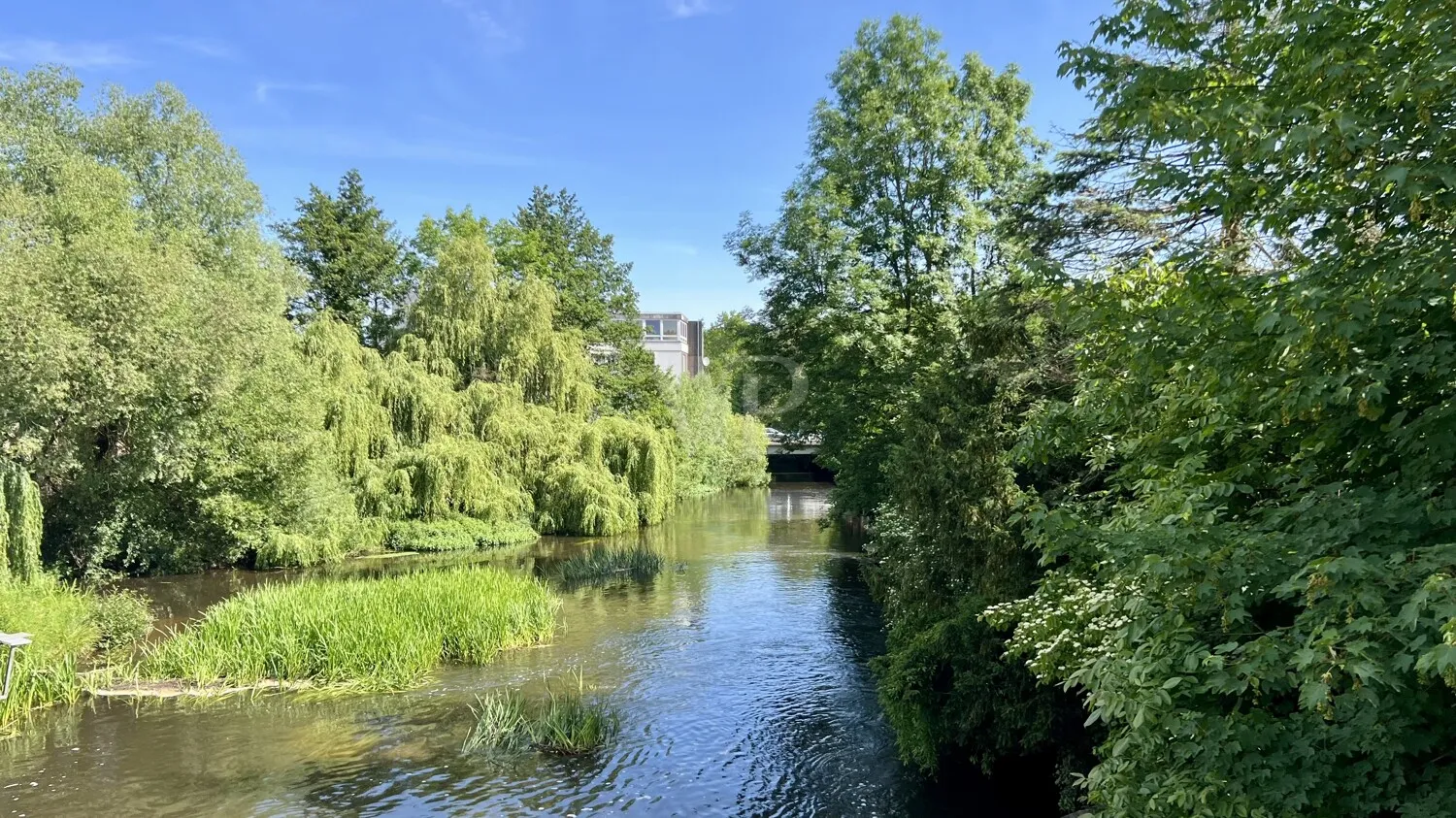 Impressionen der Umgebung