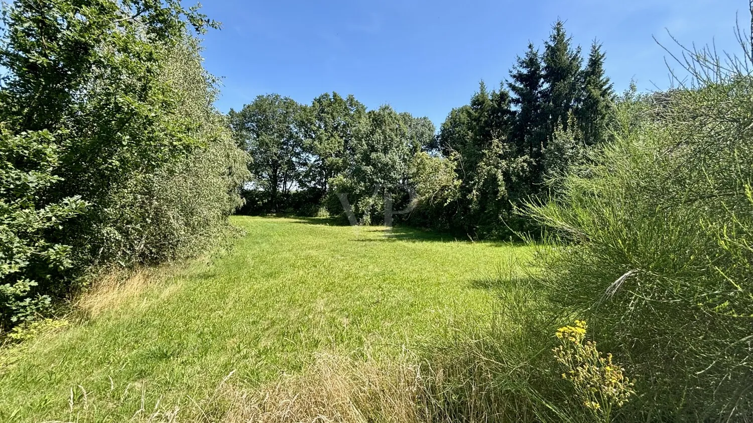 Ankommen, wohlfühlen, gestalten – großzügiges Grundstück in naturnaher Lage