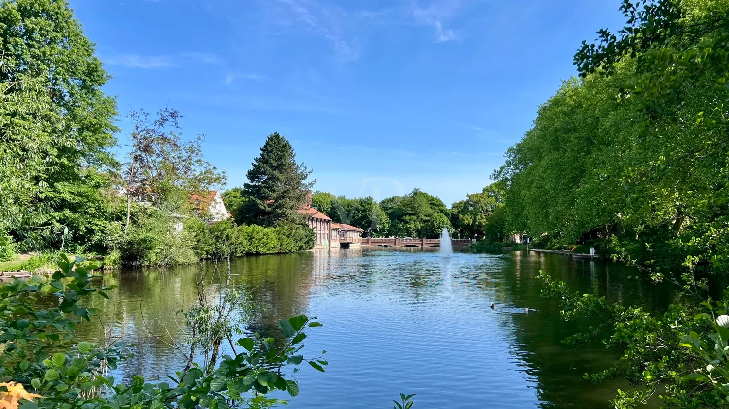 Impressionen der Umgebung