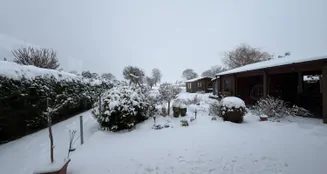 von_poll_real_estate_property_26241012_image_22