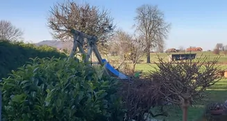 von_poll_real_estate_property_26241012_image_41