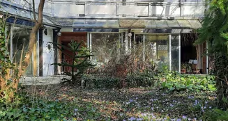 von_poll_real_estate_property_25241012_image_17