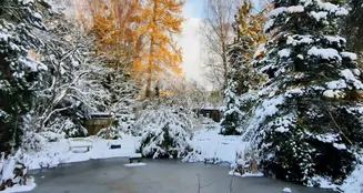 von_poll_real_estate_property_25241012_image_26