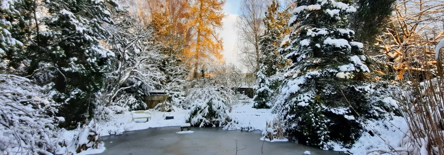 sanierungsbedürftiges, besonderes Architektenhaus mit Einliegerwohnung, in guter Lage zu Hannover